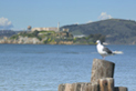 image038