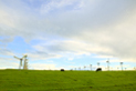 image003