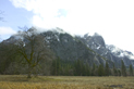 image014