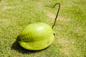 image001