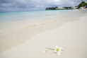 image007