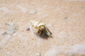 image031