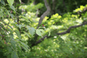 image015