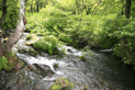 image016