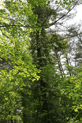 image022