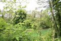 image023