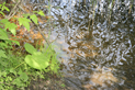 image026