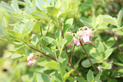 image029