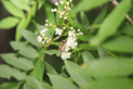 image048