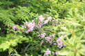 image050