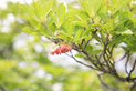 image051