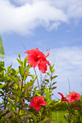 image004