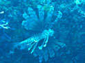 image059