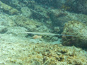 image001