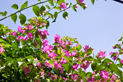 image030