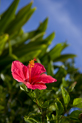 image010