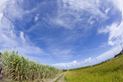 image018