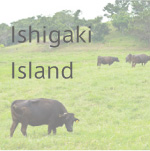 Gallery10 沖縄　石垣島