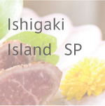 Gallery11 沖縄　石垣島 SP